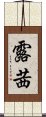 露茜 Scroll