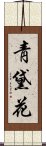 靑黛花 Scroll