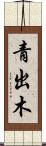 青出木 Scroll