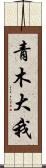 青木大我 Scroll