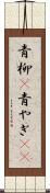 青柳(P) Scroll