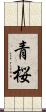 青桜 Scroll