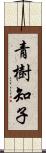 青樹知子 Scroll