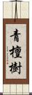 青檀樹 Scroll