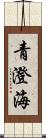 青澄海 Scroll