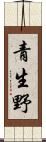 青生野 Scroll