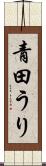 青田うり Scroll