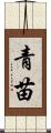 青苗 Scroll
