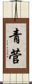 青菅 Scroll