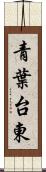 青葉台東 Scroll