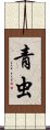 青虫 Scroll
