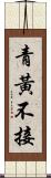 青黃不接 Scroll