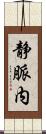 静脈内 Scroll