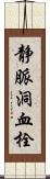 静脈洞血栓 Scroll