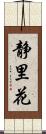 静里花 Scroll