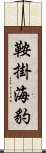 鞍掛海豹 Scroll