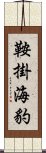 鞍掛海豹 Scroll