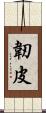 韌皮 Scroll