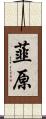 韮原 Scroll