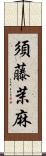 須藤茉麻 Scroll