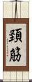 頚筋 Scroll