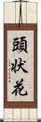 頭状花 Scroll