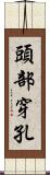 頭部穿孔 Scroll