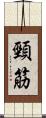 頸筋 Scroll