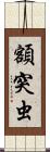 額突虫 Scroll