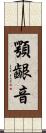 顎齦音 Scroll