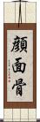 顔面骨 Scroll