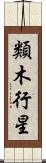 類木行星 Scroll