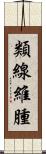 類線維腫 Scroll