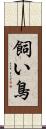 飼い鳥 Scroll