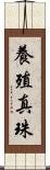 養殖真珠 Scroll