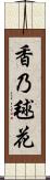香乃毬花 Scroll