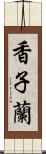 香子蘭 Scroll