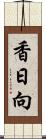 香日向 Scroll