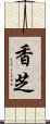 香芝 Scroll