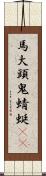 馬大頭;鬼蜻蜓(oK) Scroll