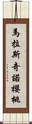 馬拉斯奇諾櫻桃 Scroll