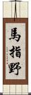 馬指野 Scroll