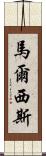 Marcisz Scroll