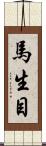 馬生目 Scroll