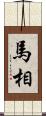馬相 Scroll