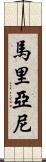 Mariani Scroll