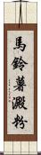 馬鈴薯澱粉 Scroll