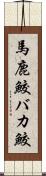 馬鹿鮫 Scroll