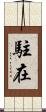 駐在 Scroll