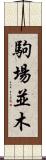 駒場並木 Scroll